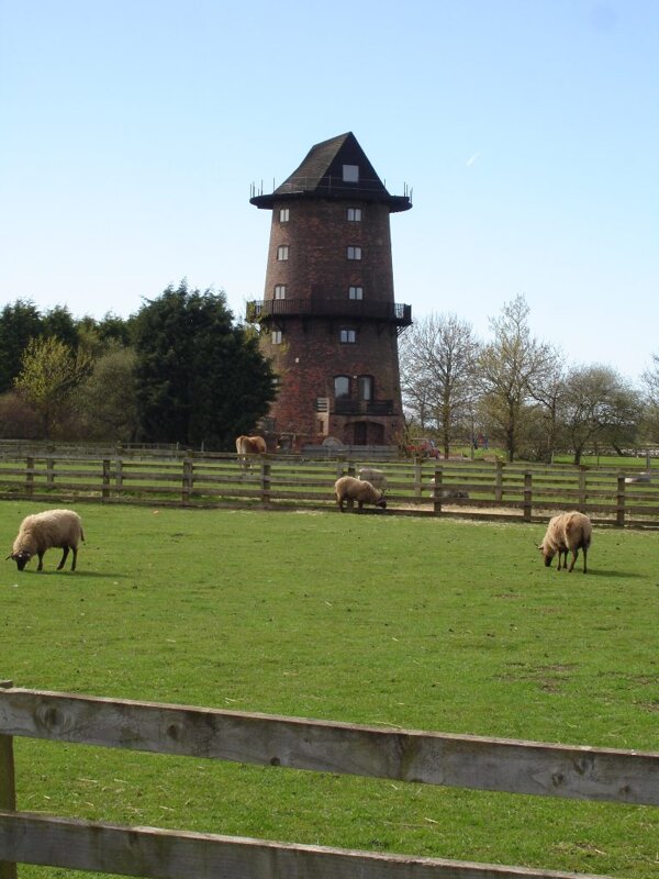 Image of Year 1's Trip to Windmill Animal Farm