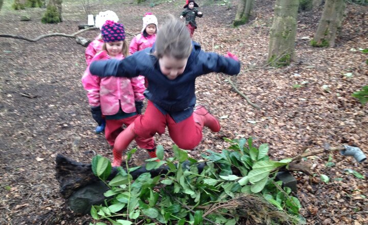 Image of Year One Obstacle Course in the Woodland