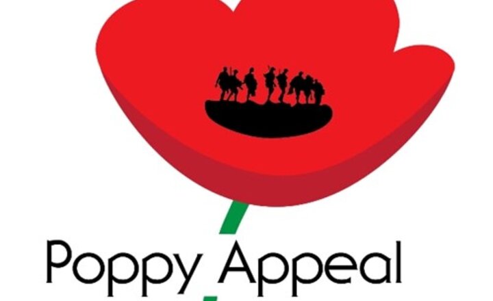 Image of We have raised £397.49 for The Royal British Legion Poppy Appeal